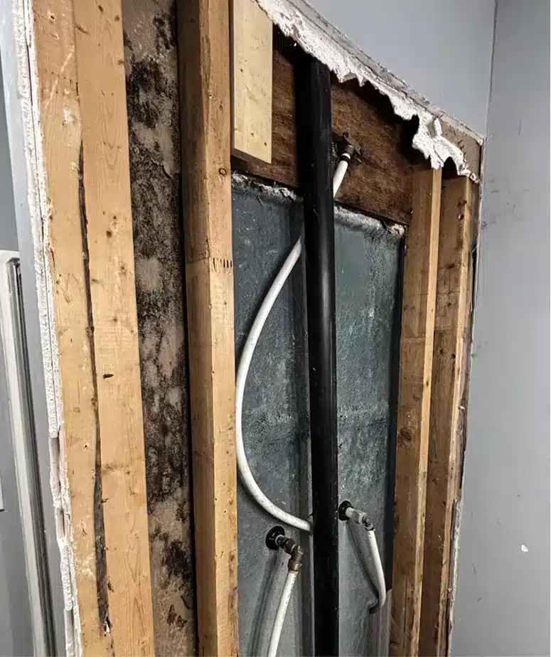 Property before restoration