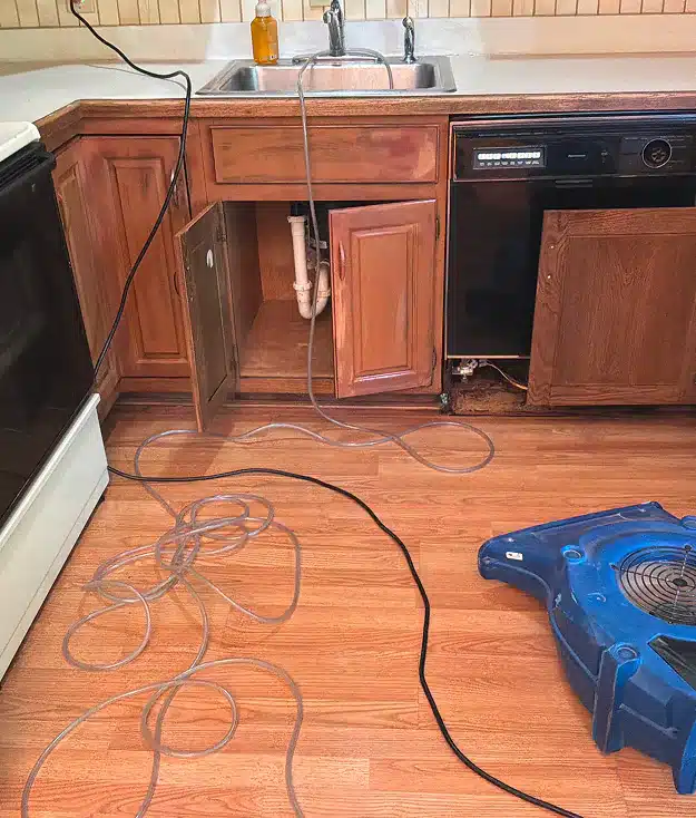 Dishwasher leak affecting kitchen cabinets and hardwood floors 